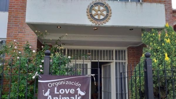 Exitosa jornada de castración a mascotas en el Rotary de Ezpeleta