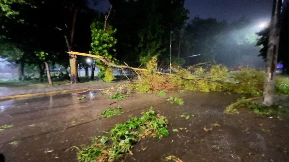 La feroz tormenta dejó destrozos y cortes de luz