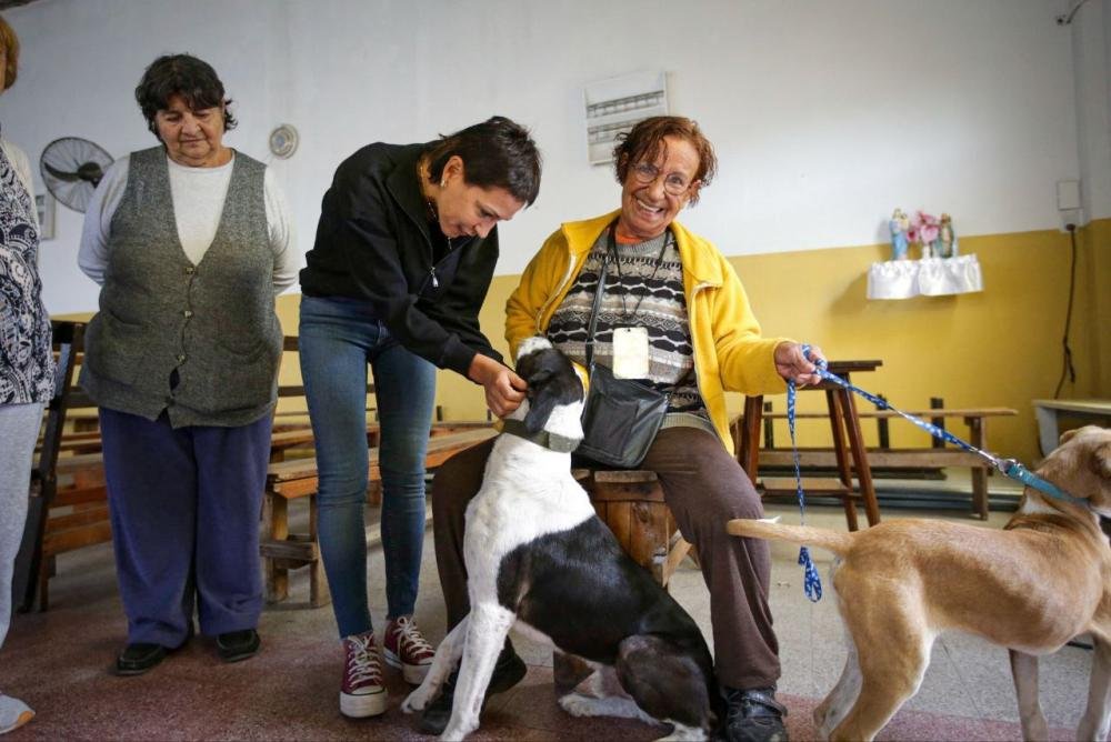 Mayra Mendoza participó de un nuevo operativo de castración y vacunación de animales