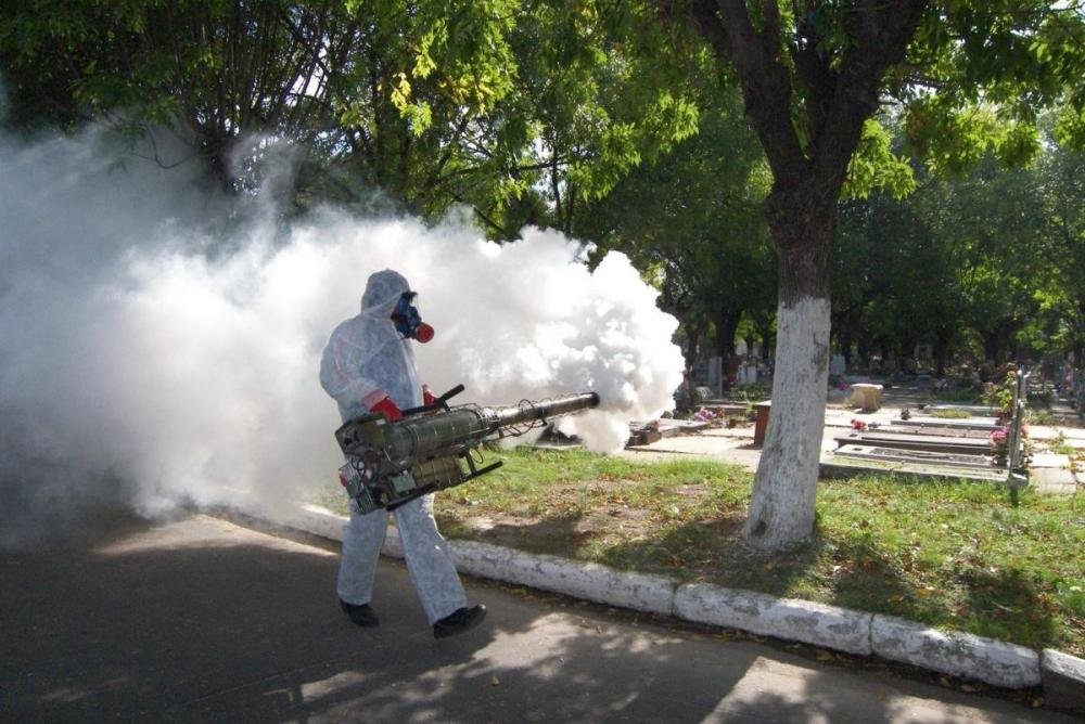 Dengue: Más de 4.500 vecinos fueron infectados por la picadura del mosquito