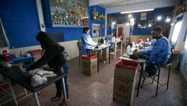 Megaoperativo de castración y vacunación en Quilmes Oeste