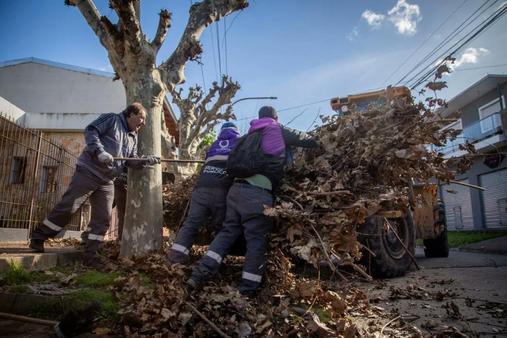 Continúan los operativos de limpieza y levantamiento de ramas