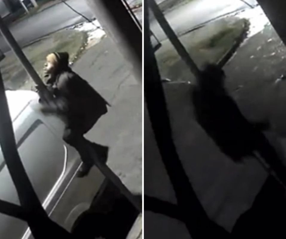 VIDEO: Roban Luminarias LED a bordo de un carro tirado por un caballo