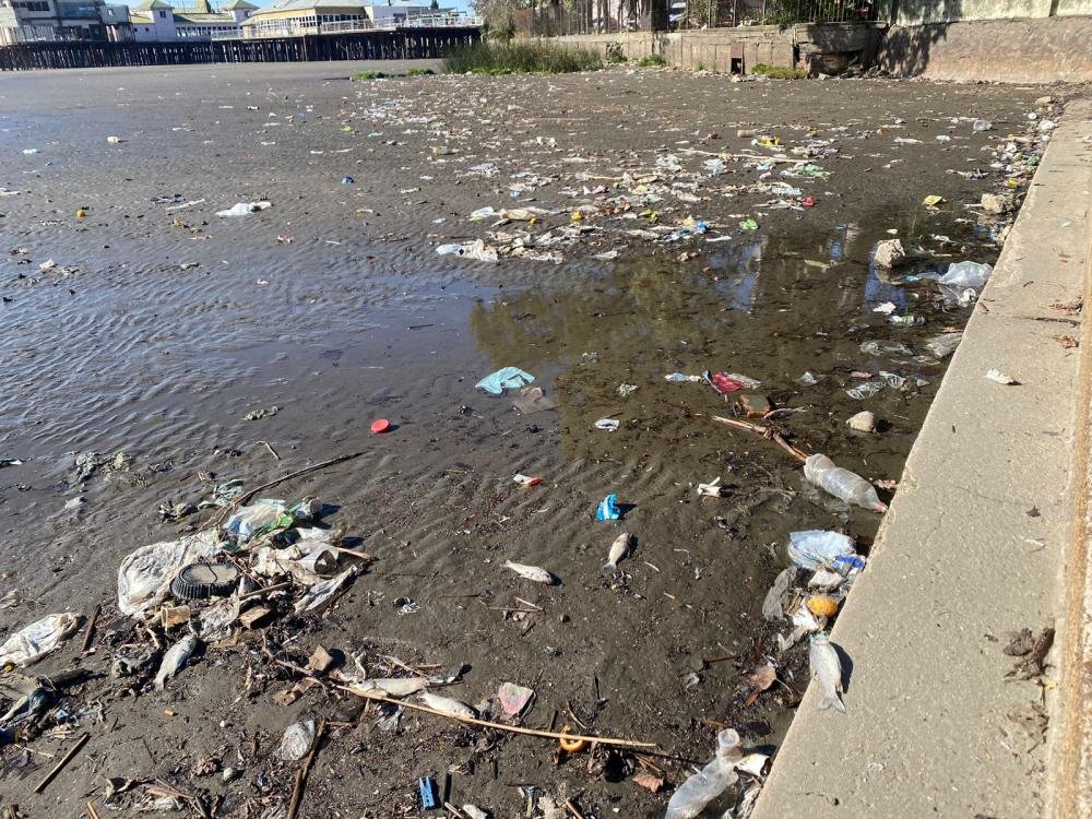 Pollos y peces muertos, velas y mucha basura en La Ribera