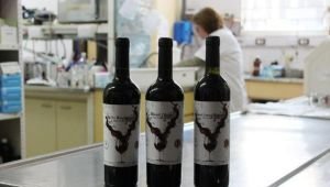 Científicas de la UNQ lanzarán el primer vino realizado por una universidad pública