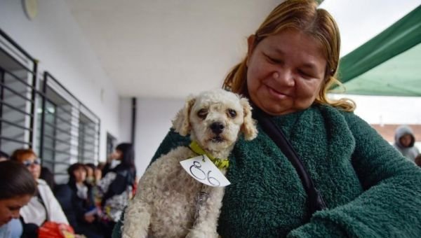 Nuevo megaoperativo de castración y vacunación de animales en Quilmes Oeste