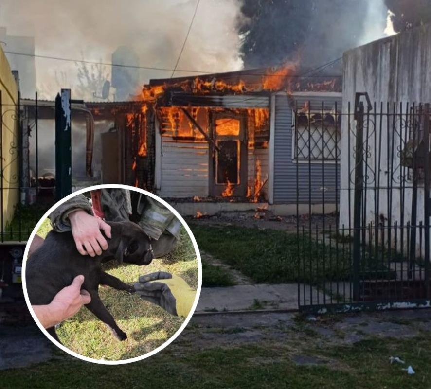 Bomberos rescataron un perro que quedó atrapado en un incendio