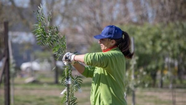 Plantarán un árbol cada 20 clientes que se adhieran a la Factura Digital de MetroGAS