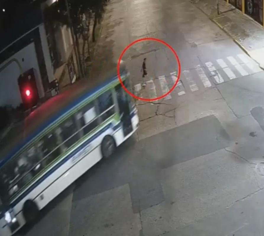 Cruzaba la calle y fue chocado por un colectivo