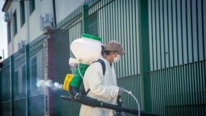 Nuevos operativos simultáneos de fumigación contra el dengue