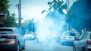 Siguen los operativos de fumigación contra el dengue