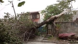 Temporal de granizo y fuertes vientos: Destrozos y cortes de luz en varios barrios