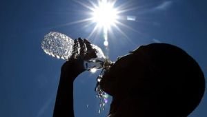 Llegó el Verano: Pronostican temperaturas superiores a 36°C para la semana próxima