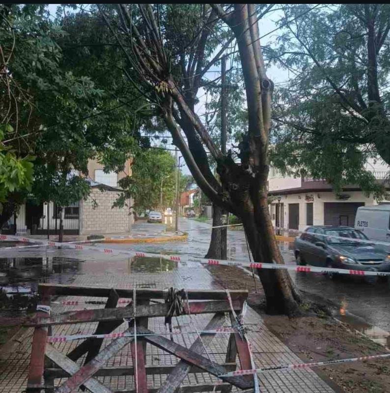 Fuerte temporal en Quilmes: Caída de árboles, cortes de luz y anegamientos