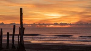 La playa más elegida del verano: Qué hacer en febrero