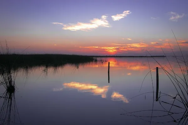 La laguna escondida de Chascomús ideal para descansar y disfrutar la naturaleza